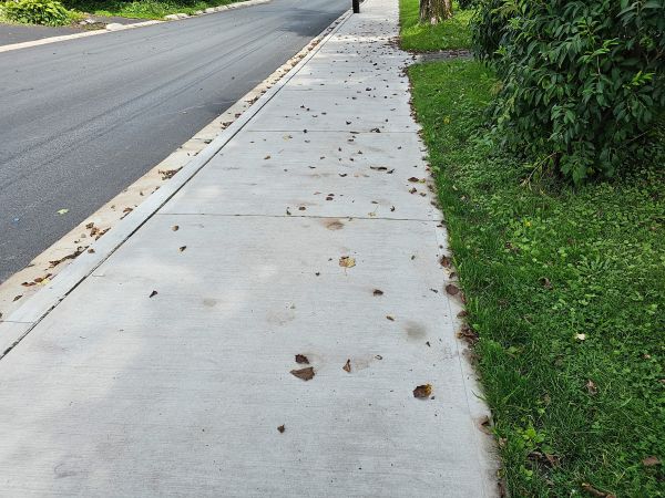 Cost of Sidewalk Renovation in Bountiful